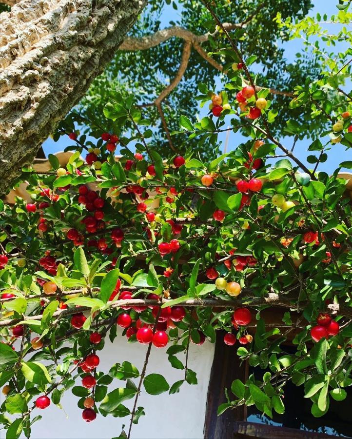 Pousada Villa Cachoeira Carrancas Εξωτερικό φωτογραφία